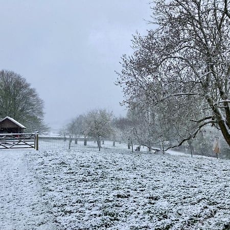 Nachtegael Hoekhuis, Knusse Woning Met Prachtig Vergezicht Kluisbergen Dış mekan fotoğraf