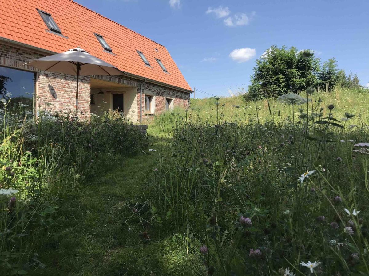 Nachtegael Hoekhuis, Knusse Woning Met Prachtig Vergezicht Kluisbergen Dış mekan fotoğraf